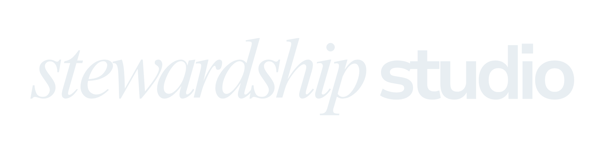 Stewardship Studio